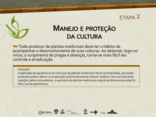 Todo produtor de plantas medicinais deve ter o hábito de
acompanhar o desenvolvimento de suas culturas. Ao detectar, logo no
início, o surgimento de pragas e doenças, torna-se mais fácil seu
controle e erradicação.
Atenção!
A aplicação de agrotóxicos em lavouras de plantas medicinais não é recomendada, pois estes
produtos podem alterar a composição química da planta e deixar resíduos. Há uma crescente
rejeição, pelos compradores, à aquisição de plantas medicinais originárias de lavouras onde foi
feito uso de agrotóxicos.
ETAPA2
MANEJO E PROTEÇÃO
DA CULTURA
 