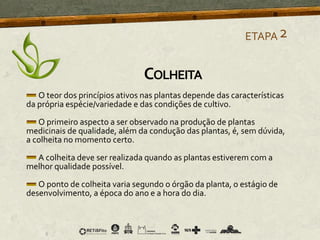 O teor dos princípios ativos nas plantas depende das características
da própria espécie/variedade e das condições de cultivo.
O primeiro aspecto a ser observado na produção de plantas
medicinais de qualidade, além da condução das plantas, é, sem dúvida,
a colheita no momento certo.
A colheita deve ser realizada quando as plantas estiverem com a
melhor qualidade possível.
O ponto de colheita varia segundo o órgão da planta, o estágio de
desenvolvimento, a época do ano e a hora do dia.
ETAPA2
COLHEITA
 