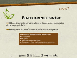 O beneficiamento primário refere-se às operações executadas
ainda na propriedade.
Distingue-se do beneficiamento industrial subsequente.
As etapas do beneficiamento primário são:
• Pré-limpeza
• Secagem
• Operações de pós-secagem
• Quando for o caso, extração de óleos essenciais
ETAPA2
BENEFICIAMENTO PRIMÁRIO
 