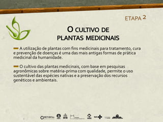 A utilização de plantas com fins medicinais para tratamento, cura
e prevenção de doenças é uma das mais antigas formas de prática
medicinal da humanidade.
O cultivo das plantas medicinais, com base em pesquisas
agronômicas sobre matéria-prima com qualidade, permite o uso
sustentável das espécies nativas e a preservação dos recursos
genéticos e ambientais.
ETAPA2
O CULTIVO DE
PLANTAS MEDICINAIS
 
