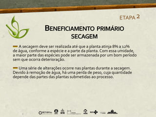 A secagem deve ser realizada até que a planta atinja 8% a 12%
de água, conforme a espécie e a parte da planta.Com essa umidade,
a maior parte das espécies pode ser armazenada por um bom período
sem que ocorra deterioração.
Uma série de alterações ocorre nas plantas durante a secagem.
Devido à remoção de água, há uma perda de peso, cuja quantidade
depende das partes das plantas submetidas ao processo.
ETAPA2
BENEFICIAMENTO PRIMÁRIO
SECAGEM
 