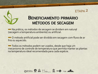 Na prática, os métodos de secagem se dividem em natural
(secagem a temperatura ambiente) ou artificial.
O método artificial pode ser dividido em secagem com fluxo de ar
frio ou aquecido.
Todos os métodos podem ser usados, desde que haja um
mecanismo de controle de temperatura que permita manter as plantas
na temperatura ideal recomendada para cada espécie.
ETAPA2
BENEFICIAMENTO PRIMÁRIO
MÉTODOS DE SECAGEM
 