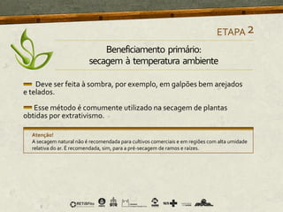 Deve ser feita à sombra, por exemplo, em galpões bem arejados
e telados.
Esse método é comumente utilizado na secagem de plantas
obtidas por extrativismo.
Atenção!
A secagem natural não é recomendada para cultivos comerciais e em regiões com alta umidade
relativa do ar. É recomendada, sim, para a pré-secagem de ramos e raízes.
ETAPA2
Beneficiamento primário:
secagem à temperatura ambiente
 