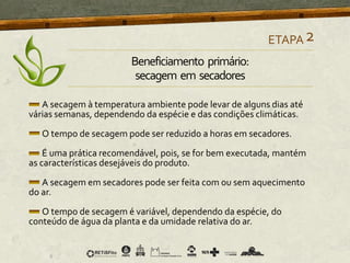 A secagem à temperatura ambiente pode levar de alguns dias até
várias semanas, dependendo da espécie e das condições climáticas.
O tempo de secagem pode ser reduzido a horas em secadores.
É uma prática recomendável, pois, se for bem executada, mantém
as características desejáveis do produto.
A secagem em secadores pode ser feita com ou sem aquecimento
do ar.
O tempo de secagem é variável, dependendo da espécie, do
conteúdo de água da planta e da umidade relativa do ar.
ETAPA2
Beneficiamento primário:
secagem em secadores
 