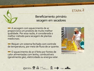 A secagem com aquecimento de ar
proporciona um produto de muito melhor
qualidade. Por essa razão, é considerada o
melhor método para secagem de plantas
medicinais.
Requer um sistema fechado com controle
de temperatura, por meio de fluxo de ar quente.
O aquecimento do ar é feito por fontes de
calor alimentadas com lenha, combustíveis
(geralmente gás), eletricidade ou energia solar.
Imagem 03 Modelo de secador [3]
ETAPA2
Beneficiamento primário:
secagem em secadores
 