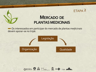 Os interessados em participar do mercado de plantas medicinais
devem apoiar-se no tripé:
ETAPA2
MERCADO DE
PLANTASMEDICINAIS
 