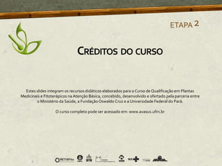 ETAPA2
CRÉDITOS DO CURSO
Estes slides integram os recursos didáticos elaborados para o Curso de Qualificação em Plantas
Medicinais e Fitoterápicos na Atenção Básica, concebido, desenvolvido e ofertado pela parceria entre
o Ministério da Saúde, a FundaçãoOswaldo Cruz e a Universidade Federal do Pará.
O curso completo pode ser acessado em: www.avasus.ufrn.br
 