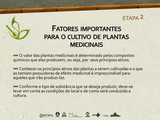 O valor das plantas medicinais é determinado pelos compostos
químicos que elas produzem, ou seja, por seus princípios ativos.
Conhecer os princípios ativos das plantas a serem cultivadas e o que
as tornam possuidoras de efeito medicinal é imprescindível para
aqueles que irão produzi-las.
Conforme o tipo de substância que se deseja produzir, deve-se
levar em conta as condições do local e de como será conduzida a
cultura.
ETAPA2
FATORES IMPORTANTES
PARA O CULTIVO DE PLANTAS
MEDICINAIS
 