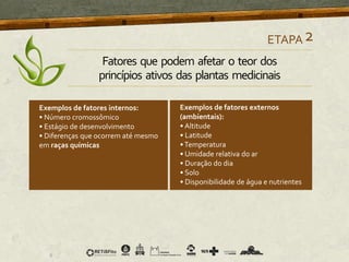 ETAPA2
Exemplos de fatores internos:
• Número cromossômico
• Estágio de desenvolvimento
• Diferenças que ocorrem até mesmo
em raças químicas
Exemplos de fatores externos
(ambientais):
• Altitude
• Latitude
•Temperatura
• Umidade relativa do ar
• Duração do dia
• Solo
• Disponibilidade de água e nutrientes
Fatores que podem afetar o teor dos
princípios ativos das plantas medicinais
 