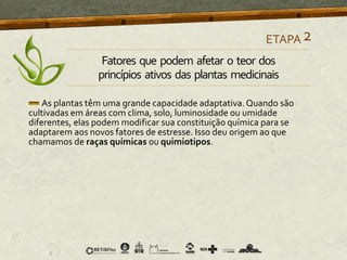 As plantas têm uma grande capacidade adaptativa.Quando são
cultivadas em áreas com clima, solo, luminosidade ou umidade
diferentes, elas podem modificar sua constituição química para se
adaptarem aos novos fatores de estresse. Isso deu origem ao que
chamamos de raças químicas ou quimiotipos.
ETAPA2
Fatores que podem afetar o teor dos
princípios ativos das plantas medicinais
 