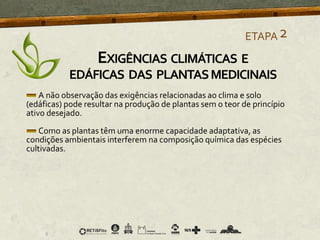 A não observação das exigências relacionadas ao clima e solo
(edáficas) pode resultar na produção de plantas sem o teor de princípio
ativo desejado.
Como as plantas têm uma enorme capacidade adaptativa, as
condições ambientais interferem na composição química das espécies
cultivadas.
ETAPA2
EXIGÊNCIAS CLIMÁTICAS E
EDÁFICAS DAS PLANTASMEDICINAIS
 