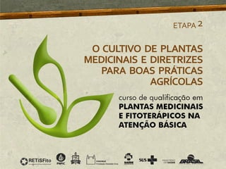 O CULTIVO DE PLANTAS
MEDICINAIS E DIRETRIZES
PARA BOAS PRÁTICAS
AGRÍCOLAS
ETAPA2
 