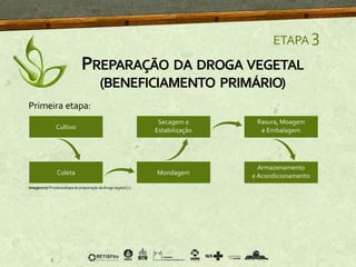 Primeira etapa:
ETAPA 3
PREPARAÇÃO DA DROGA VEGETAL
(BENEFICIAMENTO PRIMÁRIO)
Imagem07 Primeiraetapadepreparação dadrogavegetal [7]
 