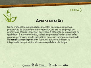 Neste material serão abordados aspectos que dizem respeito à
preparação da droga de origem vegetal. Consiste no emprego de
processos e técnicas especiais que visam à obtenção de uma droga de
qualidade. É a arte do cultivo, colheita e preparação da colheita das
plantas medicinais, sendo este último processo também denominado
de beneficiamentoprimário.Todos esses fatores influem na
integridade dos princípios ativos e na qualidade da droga.
APRESENTAÇÃO
ETAPA 3
 