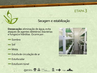 Dessecação: eliminação de água; evita
ataques de agentes deletérios (bactérias
e fungos)e hidrólise. Ocorre por:
Sombra
Sol
Mista
Estufade circulação de ar
Estufasolar
Estufaem túnel
ETAPA 3
Secagem e estabilização
Imagem14 Dessecação à sombra [12]
 