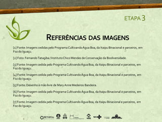 [1] Fonte: Imagens cedidas pelo ProgramaCultivandoÁgua Boa, da Itaipu Binacional e parceiros, em
Fozdo Iguaçu.
[2] Foto: FernandoTatagiba/InstitutoChico Mendes deConservação da Biodiversidade.
[3] Fonte: Imagem cedida pelo ProgramaCultivandoÁguaBoa, da Itaipu Binacional e parceiros, em
Fozdo Iguaçu.
[4] Fonte: Imagem cedida pelo ProgramaCultivandoÁgua Boa, da Itaipu Binacional e parceiros, em
Fozdo Iguaçu.
[5] Fonte: Desenhoà mãolivre de Mary AnneMedeiros Bandeira.
[6] Fonte: Imagem cedida pelo ProgramaCultivandoÁguaBoa, daItaipu Binacional e parceiros, em
Fozdo Iguaçu.
[7] Fonte: Imagem cedida pelo ProgramaCultivandoÁguaBoa, da Itaipu Binacional e parceiros, em
Fozdo Iguaçu.
REFERÊNCIAS DAS IMAGENS
ETAPA 3
 