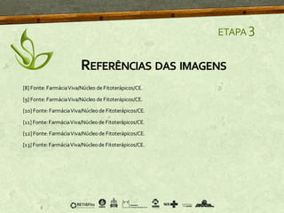 [8] Fonte: FarmáciaViva/Núcleo de Fitoterápicos/CE.
[9] Fonte: FarmáciaViva/Núcleo de Fitoterápicos/CE.
[10] Fonte: FarmáciaViva/Núcleode Fitoterápicos/CE.
[11] Fonte: FarmáciaViva/Núcleode Fitoterápicos/CE.
[12] Fonte: FarmáciaViva/Núcleode Fitoterápicos/CE.
[13] Fonte: FarmáciaViva/Núcleo de Fitoterápicos/CE.
ETAPA 3
REFERÊNCIAS DAS IMAGENS
 