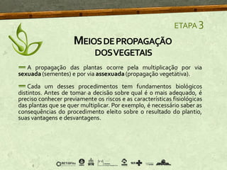 A propagação das plantas ocorre pela multiplicação por via
sexuada (sementes) e por via assexuada(propagação vegetativa).
Cada um desses procedimentos tem fundamentos biológicos
distintos. Antes de tomar a decisão sobre qual é o mais adequado, é
preciso conhecer previamente os riscos e as características fisiológicas
das plantas que se quer multiplicar. Por exemplo, é necessário saber as
consequências do procedimento eleito sobre o resultado do plantio,
suas vantagens e desvantagens.
ETAPA 3
MEIOSDEPROPAGAÇÃO
DOSVEGETAIS
 