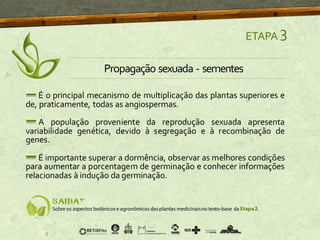 É o principal mecanismo de multiplicação das plantas superiores e
de, praticamente, todas as angiospermas.
A população proveniente da reprodução sexuada apresenta
variabilidade genética, devido à segregação e à recombinação de
genes.
É importante superar a dormência, observar as melhores condições
para aumentar a porcentagem de germinação e conhecer informações
relacionadas à indução da germinação.
ETAPA 3
Propagação sexuada - sementes
 