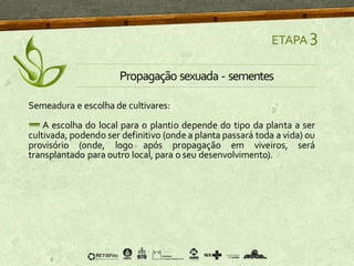 Semeadura e escolha de cultivares:
A escolha do local para o plantio depende do tipo da planta a ser
cultivada, podendo ser definitivo (onde a planta passará toda a vida) ou
provisório (onde, logo após propagação em viveiros, será
transplantado para outro local, para o seu desenvolvimento).
ETAPA 3
Propagação sexuada - sementes
 