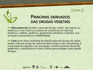 ETAPA 3
Óleo essencial: também chamado de óleo volátil, óleo etéreo ou
essência, é uma mistura complexa de substâncias de natureza
terpênica, voláteis, lipofílicas, geralmente odoríferas e líquidas. Sua
principal característica é a volatibilidade.
Cera: é um éster resultante da esterificação dos álcoois de cadeia
longa e reta por ácidos de cadeia também longa e reta. Nas plantas, é
encontrada em ligações com as paredes celulares externas do tecido
epidérmico, sobretudo em frutos e folhas para proteger contra perda
de água.
PRINCIPAIS DERIVADOS
DAS DROGAS VEGETAIS
 