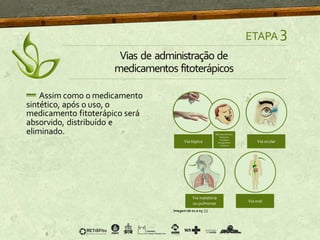 Assim como o medicamento
sintético, após o uso, o
medicamento fitoterápico será
absorvido, distribuído e
eliminado.
Imagemde 01a 05 [1]
ETAPA 3
Vias de administração de
medicamentos fitoterápicos
 