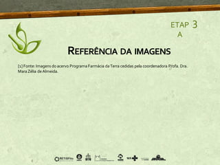 [1] Fonte: Imagens do acervo ProgramaFarmácia daTerra cedidas pela coordenadora Profa. Dra.
MaraZélia deAlmeida.
REFERÊNCIA DA IMAGENS
ETAP
A
3
 