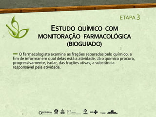 ETAPA 3
ESTUDO QUÍMICO COM
MONITORAÇÃO FARMACOLÓGICA
(BIOGUIADO)
O farmacologista examina as frações separadas pelo químico, a
fim de informar em qual delas está a atividade. Já o químico procura,
progressivamente, isolar, das frações ativas, a substância
responsável pela atividade.
 