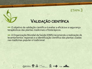 VALIDAÇÃO CIENTÍFICA
ETAPA 3
O objetivo da validação científica é avaliar a eficáciae a segurança
terapêuticas das plantas medicinais e fitoterápicos.
AOrganização Mundial da Saúde (OMS)recomenda a realização de
levantamentos regionais e a identificação científica das plantas usadas
nas medicinas popular e tradicional.
 