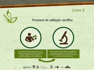 ETAPA 3
Processos de validação científica
 