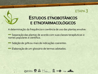 ETAPA 3
A determinação da frequência e coerência de uso das plantas envolve:
Separação das plantas de acordo com suas classes terapêuticas e
nomes populares e científico.
Seleção de 50% ou mais de indicações coerentes.
Elaboração de um glossário de termos adotados.
ESTUDOS ETNOBOTÂNICOS
E ETNOFARMACOLÓGICOS
 