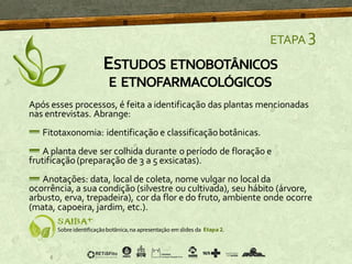 ETAPA 3
Após esses processos, é feita a identificação das plantas mencionadas
nas entrevistas. Abrange:
Fitotaxonomia: identificação e classificaçãobotânicas.
A planta deve ser colhida durante o período de floração e
frutificação(preparação de 3 a 5 exsicatas).
Anotações: data, local de coleta, nome vulgar no local da
ocorrência, a sua condição (silvestre ou cultivada), seu hábito (árvore,
arbusto, erva, trepadeira), cor da flor e do fruto, ambiente onde ocorre
(mata, capoeira, jardim, etc.).
ESTUDOS ETNOBOTÂNICOS
E ETNOFARMACOLÓGICOS
 