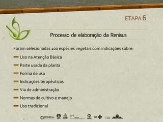 ETAPA6
Processo de elaboração da Renisus
Foram selecionadas 100 espécies vegetais com indicações sobre:
Uso na Atenção Básica
Parte usada da planta
Forma de uso
Indicações terapêuticas
Via de administração
Normas de cultivo e manejo
Uso tradicional
 