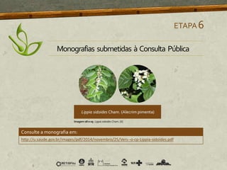 ETAPA6
Monografias submetidas à Consulta Pública
http://u.saude.gov.br/images/pdf/2014/novembro/25/Vers--o-cp-Lippia-sidoides.pdf
Consulte a monografia em:
Imagem 08 e 09 Lippia sidoides Cham. [6]
 