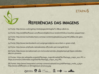 [1] Fonte: http://www.cookingshop.it/site/pages/dettaglio/?c=8&cp=0&id=70.
[2] Fonte: http://wildlifeofhawaii.com/flowers/698/schinus-terebinthifolius-brazilian-peppertree/ .
[3] Fonte: http://www.huertodeurbano.com/wp-content/uploads/2014/03/u%C3%B1a-de-gato-
foto.jpg.
[4] Fonte: http://www.bambooland.com.au/gingers/alpinia-zerumbet-cv-green-shell.
[5] Fonte: http://www.onlyfoods.net/calendula-officinalis-pot-marigold.html.
[6] Fonte: http://www.terradeismael.com.br/novaterra/index.php/plantas/196-lippia-sidoides-
alecrim-pimenta.
[7] Fontes: https://pt.wikipedia.org/wiki/Plantago_major#/media/File:Plantago_major_002.JPG e
https://commons.wikimedia.org/wiki/File:Plantago_major_003.JPG.
[8] Fontes: http://www.lineaysalud.com/wp-content/uploads/2014/06/Plantago_ovata_4.jpg e
http://www.wildflowers.co.il/images/320-pics/1115.jpg.
ETAPA6
REFERÊNCIAS DAS IMAGENS
 