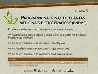 Estabelece ações em torno de objetivos comuns voltados:
À garantia do acesso seguro e uso racional de plantas medicinais e
fitoterápicos no Brasil.
Ao desenvolvimento de inovações tecnológicas.
Ao fortalecimento de cadeias e arranjos produtivos.
Ao desenvolvimento do complexo produtivo da saúde.
PROGRAMA NACIONAL DE PLANTAS
MEDICINAIS E FITOTERÁPICOS(PNPMF)
ETAPA6
http://www.mda.gov.br/sitemda/sites/sitemda/files/user_arquivos_64/Programa_Nacional_de_Pla
ntas_Medicinais_e_Fitoterápicos.pdf
Acesse:
 