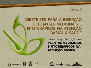 ETAPA6
DIRETRIZES PARA A INSERÇÃO
DE PLANTAS MEDICINAIS E
FITOTERÁPICOS NA ATENÇÃO
BÁSICA À SAÚDE
 
