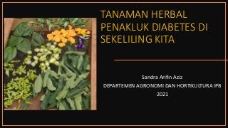 TANAMAN HERBAL
PENAKLUK DIABETES DI
SEKELILING KITA
Sandra Arifin Aziz
DEPARTEMEN AGRONOMI DAN HORTIKULTURA IPB
2021
 