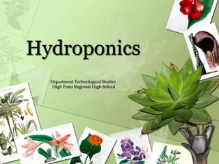Hydroponics
Department Technological Studies
High Point Regional High School
 