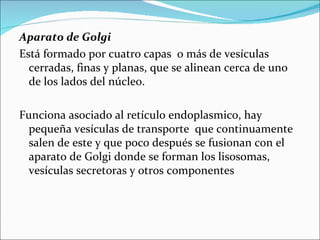 Aparato de Golgi
Está formado por cuatro capas o más de vesículas
  cerradas, finas y planas, que se alinean cerca de uno
  de los lados del núcleo.

Funciona asociado al retículo endoplasmico, hay
  pequeña vesículas de transporte que continuamente
  salen de este y que poco después se fusionan con el
  aparato de Golgi donde se forman los lisosomas,
  vesículas secretoras y otros componentes
 