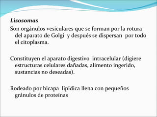 Lisosomas
Son orgánulos vesiculares que se forman por la rotura
  del aparato de Golgi y después se dispersan por todo
  el citoplasma.

Constituyen el aparato digestivo intracelular (digiere
 estructuras celulares dañadas, alimento ingerido,
 sustancias no deseadas).

Rodeado por bicapa lipidica llena con pequeños
 gránulos de proteínas
 