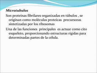 Microtubulos
Son proteínas fibrilares organizadas en túbulos , se
  originan como moléculas proteicas precursoras
  sintetizadas por los ribosomas
Una de las funciones principales es actuar como cito
  esqueleto, proporcionando estructuras rígidas para
  determinadas partes de la célula.
 