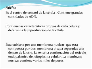 Núcleo
Es el centro de control de la célula . Contiene grandes
  cantidades de ADN.

Contiene las características propias de cada célula y
 determina la reproducción de la célula



Esta cubierta por una membrana nuclear que esta
  compuesta por dos membrana bicapa separadas una
  dentro de la otra. La externa continuación del retículo
  endopalsmico del citoplasma celular. La membrana
  nuclear contiene varios miles de poros
 