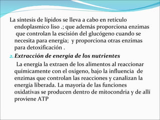 La síntesis de lípidos se lleva a cabo en retículo
   endoplasmico liso .; que además proporciona enzimas
    que controlan la escisión del glucógeno cuando se
   necesita para energía; y proporciona otras enzimas
   para detoxificación .
2. Extracción de energía de los nutrientes
    La energía la extraen de los alimentos al reaccionar
   químicamente con el oxigeno, bajo la influencia de
   enzimas que controlan las reacciones y canalizan la
   energía liberada. La mayoría de las funciones
   oxidativas se producen dentro de mitocondria y de allí
   proviene ATP
 
