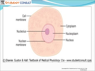 Downloaded from: StudentConsult (on 18 July 2010 10:11 PM)
                                           © 2005 Elsevier
 