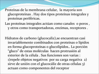 Proteínas de la membrana celular, la mayoría son
  glucoproteinas . Hay dos tipos proteínas integrales y
  proteínas periféricas.
Las proteínas integrales actúan como canales o poros ,
  y otros como transportadoras, enzimas, receptores .

Hidratos de carbono (glucocaliz),se encuentran casi
 invariablemente combinados con proteínas o lípidos
 en forma glucoproteínas o glucolípidos.. La porción
 “gluco” de estas moléculas hacen protrusión al
 exterior de la célula . Sus funciones son varias :
 1)repele objetos negativos por su carga negativa 2)
 sirve de unión con el glucocáliz de otras células 3)
 actuan como componentes del receptor
 