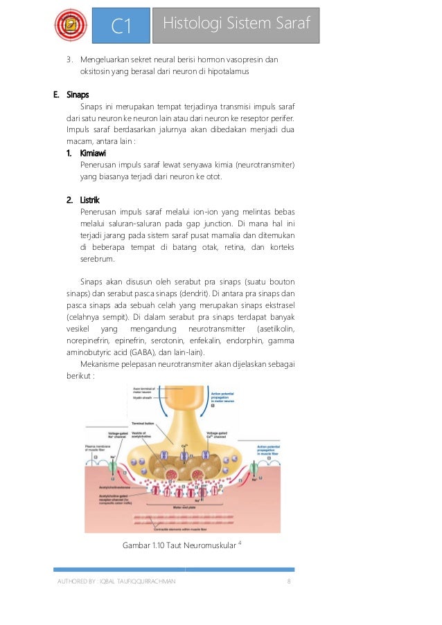 C1 Histologi Sistem Saraf