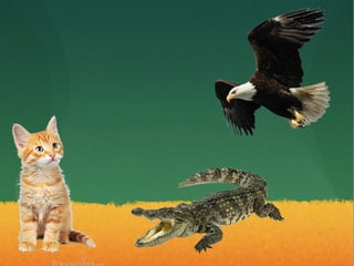 Los animales