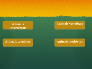 Animals
invertebrats
Animals
invertebrats
Animals vertebratsAnimals vertebrats
Animals carnívorsAnimals carnívors Animals herbívorsAnimals herbívors
 