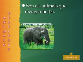 Són els animals queSón els animals que
mengen herba.mengen herba.
EXEMPLESEXEMPLES
 
